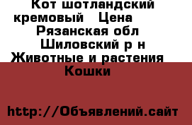 Кот шотландский кремовый › Цена ­ 300 - Рязанская обл., Шиловский р-н Животные и растения » Кошки   
